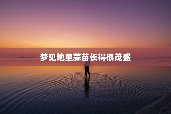 梦见地里蒜苗长得很茂盛