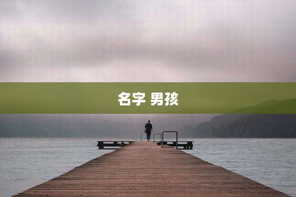 名字 男孩