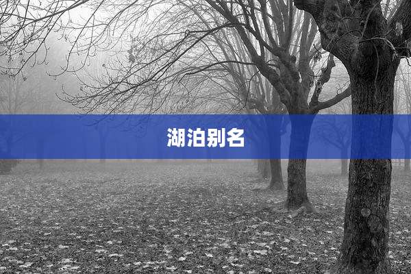 湖泊别名
