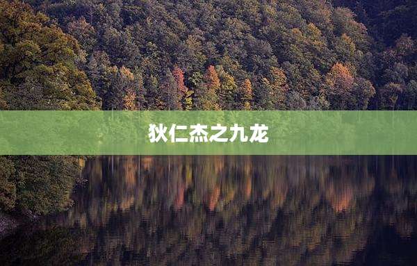 狄仁杰之九龙