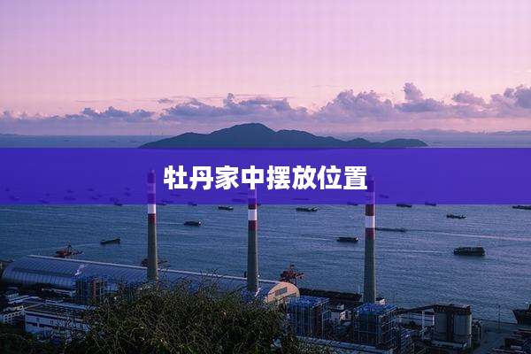 牡丹家中摆放位置