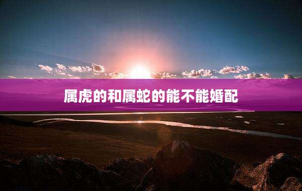 属虎的和属蛇的能不能婚配