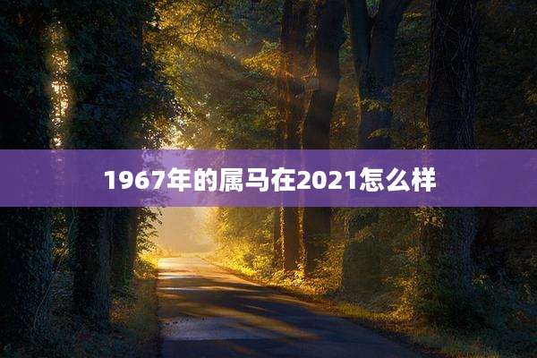 1967年的属马在2021怎么样