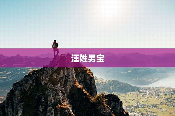 汪姓男宝