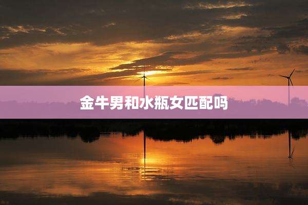 金牛男和水瓶女匹配吗