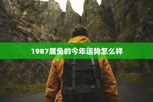 1987属兔的今年运势怎么样