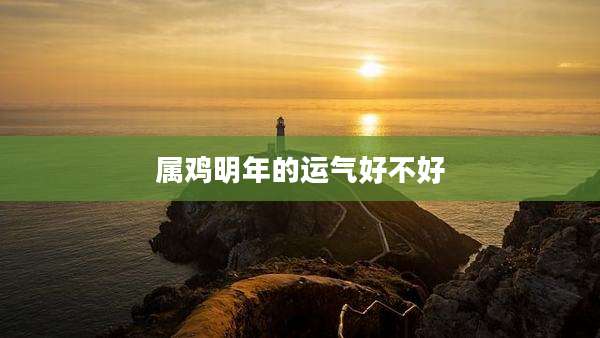 属鸡明年的运气好不好