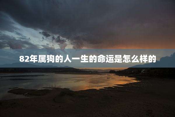 82年属狗的人一生的命运是怎么样的