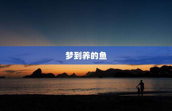梦到养的鱼