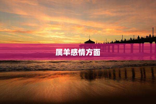 属羊感情方面