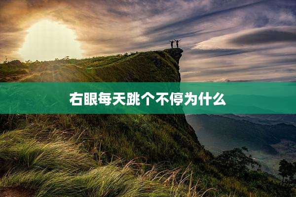 右眼每天跳个不停为什么