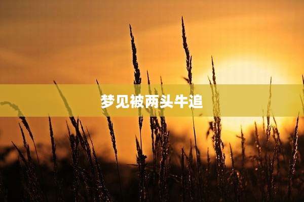 梦见被两头牛追