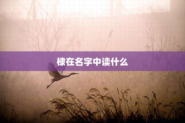 棣在名字中读什么