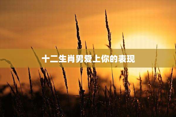 十二生肖男爱上你的表现