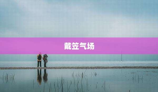 戴笠气场