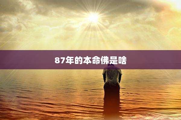 87年的本命佛是啥