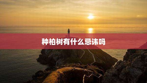 种柏树有什么忌讳吗