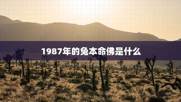 1987年的兔本命佛是什么