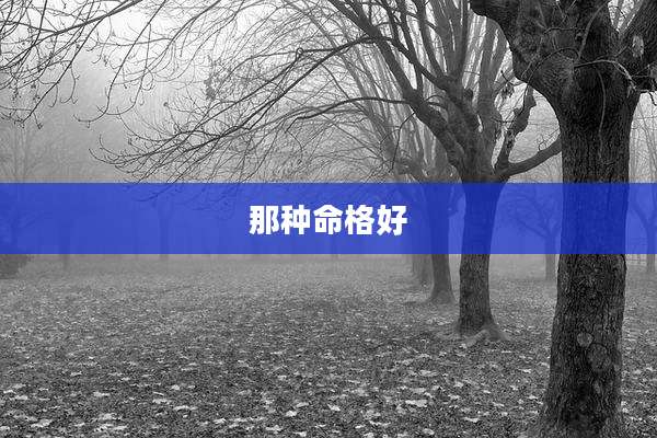 那种命格好