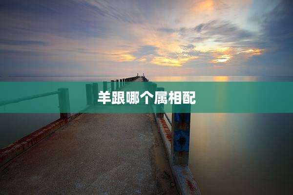 羊跟哪个属相配
