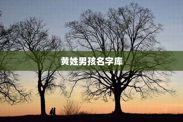 黄姓男孩名字库