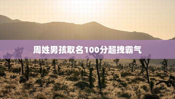 周姓男孩取名100分超拽霸气