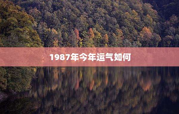 1987年今年运气如何