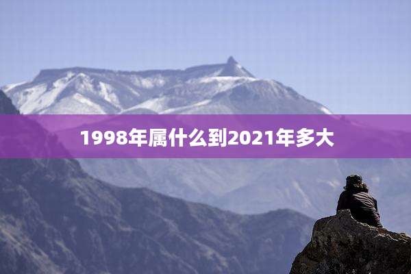 1998年属什么到2021年多大