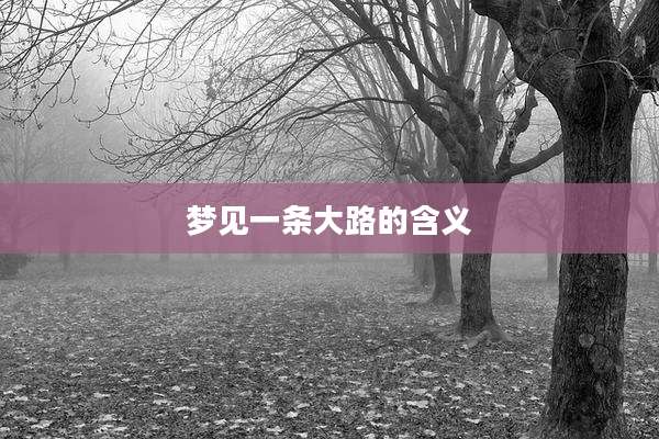梦见一条大路的含义