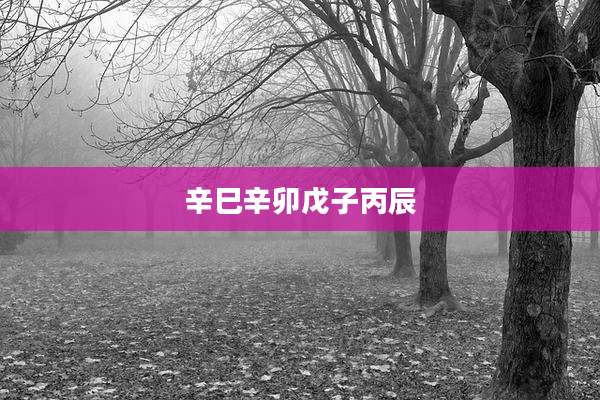 辛巳辛卯戊子丙辰