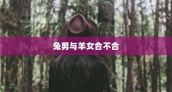 兔男与羊女合不合