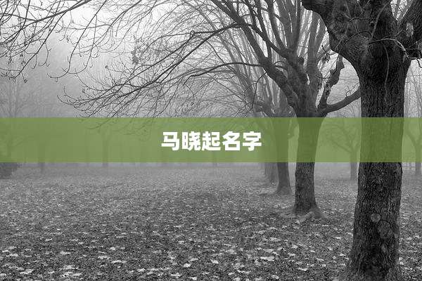 马晓起名字