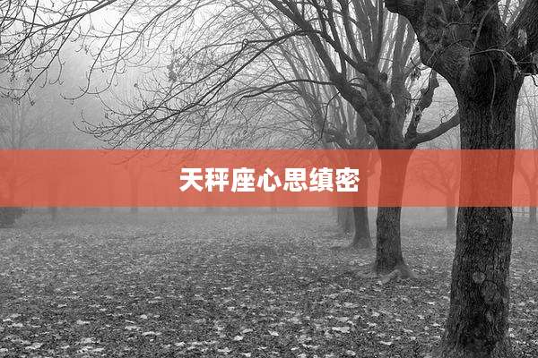 天秤座心思缜密