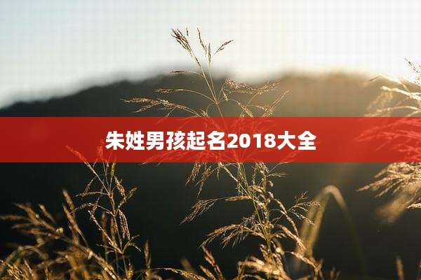 朱姓男孩起名2018大全