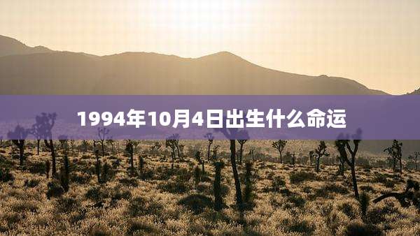 1994年10月4日出生什么命运