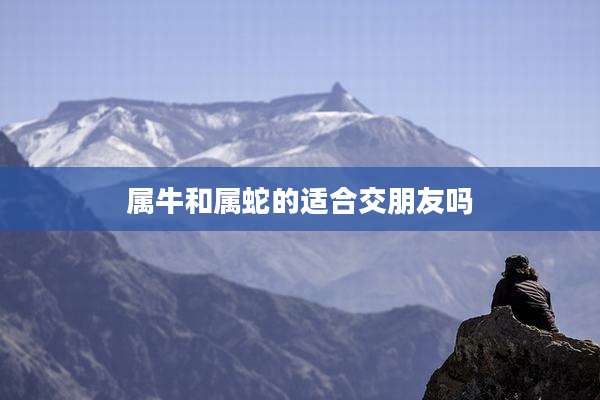 属牛和属蛇的适合交朋友吗