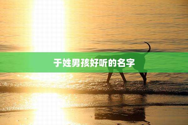 于姓男孩好听的名字