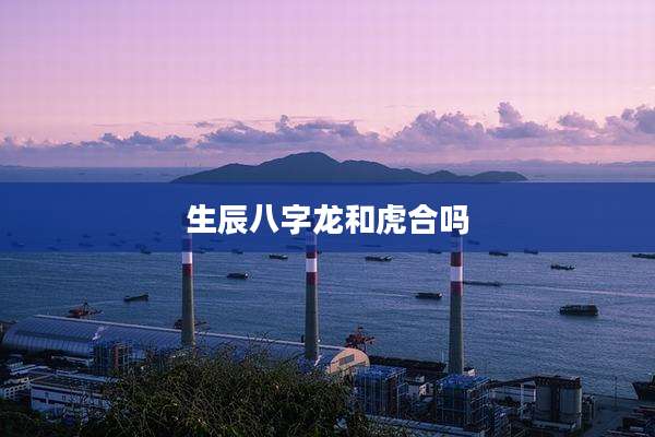 生辰八字龙和虎合吗