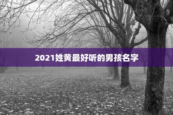 2021姓黄最好听的男孩名字