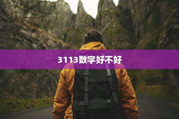 3113数字好不好