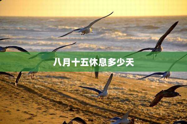 八月十五休息多少天
