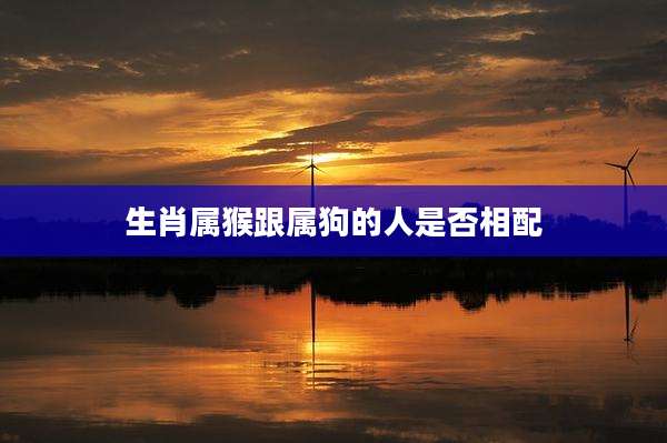 生肖属猴跟属狗的人是否相配