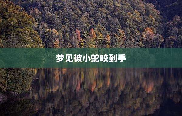 梦见被小蛇咬到手