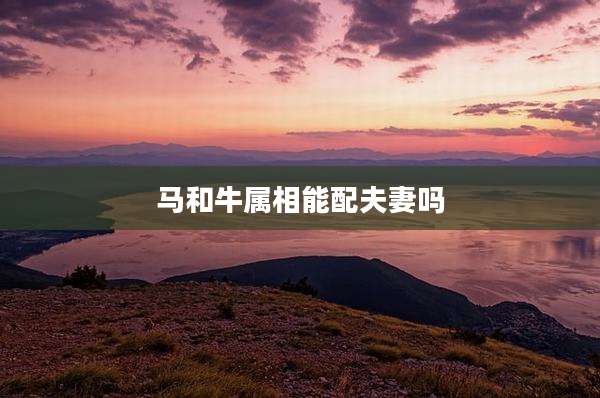 马和牛属相能配夫妻吗