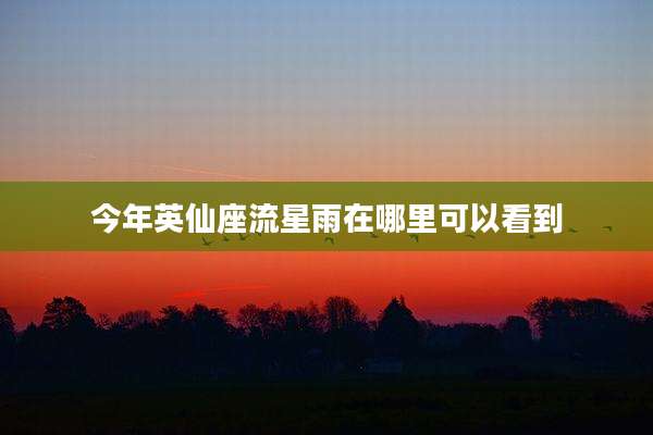今年英仙座流星雨在哪里可以看到
