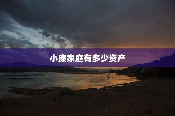 小康家庭有多少资产