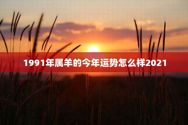 1991年属羊的今年运势怎么样2021