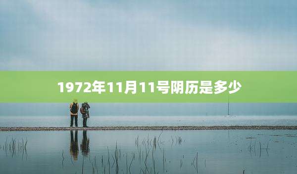 1972年11月11号阴历是多少