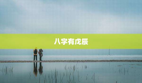 八字有戊辰