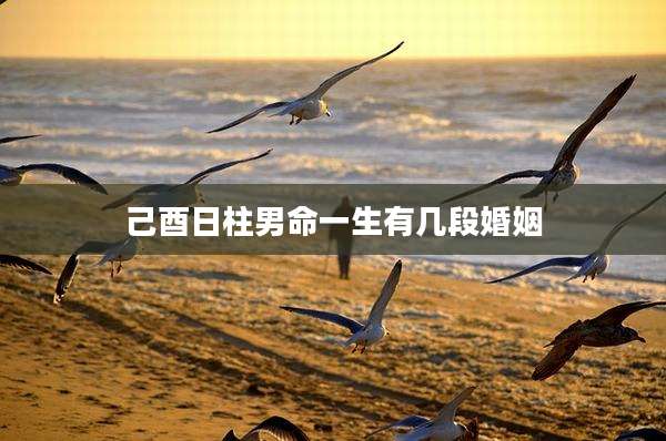 己酉日柱男命一生有几段婚姻
